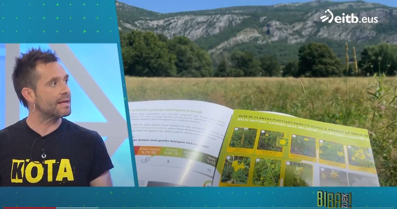 “Artzainok ere, loreak behar ditugu” Aritz Ganboa (Albi Gaztak) Arruazuko artzaina eta gaztagilea eta balio natural handiko segabelardientzako laguntzaren eskatzailea. “Los pastores y pastoras también necesitamos las flores” Aritz Ganboa (Albi Gaztak) pastor y quesero de Arruazu y solicitante de la ayuda a los prados de alto valor natural