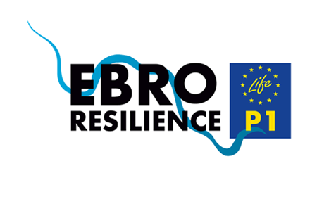 EBRO_RESILIENCE_P1