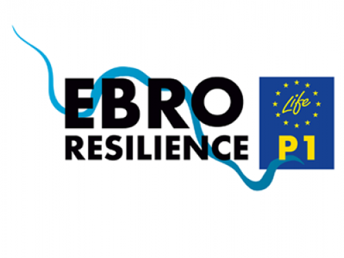 EBRO_RESILIENCE_P1